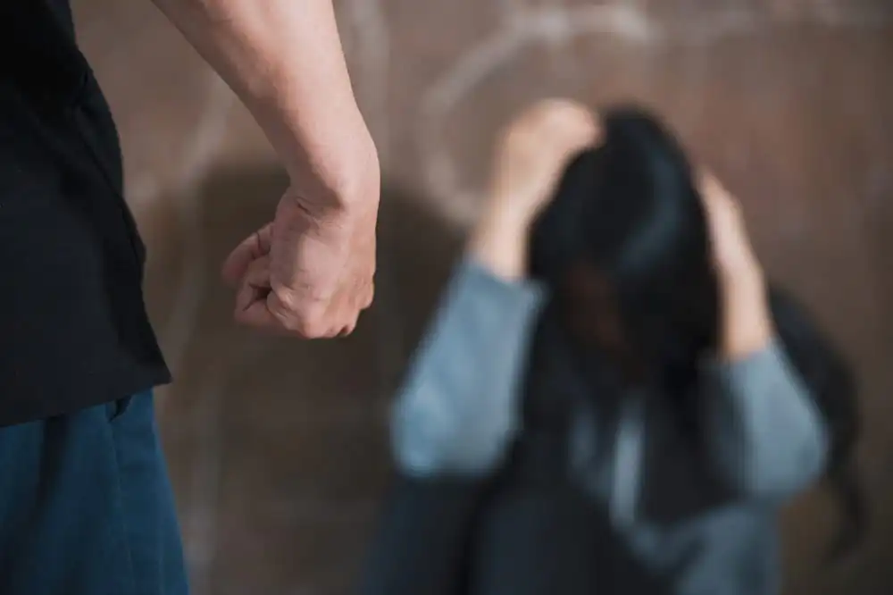 Understanding domestic violence law